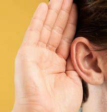 support healthy hearing